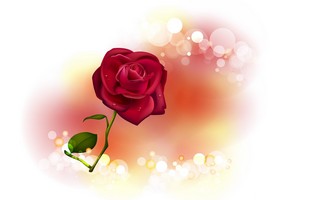 Valentines_Day 88.jpg
